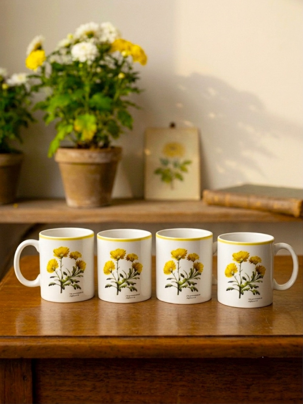 Kingston Gardens 4 Chrysanthemum Cups /MugsSignature Housewares Inc Japan